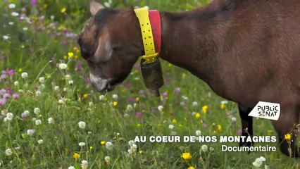 Au coeur de nos montagnes