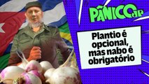 PREÇO DOS ALIMENTOS VAI FAZER HERÓI DO BRASIL VIRAR HERÓI DE CUBA?