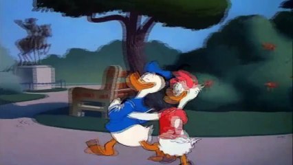 Donald Duck Cartoons 63 - Donald's Dilemma 1947