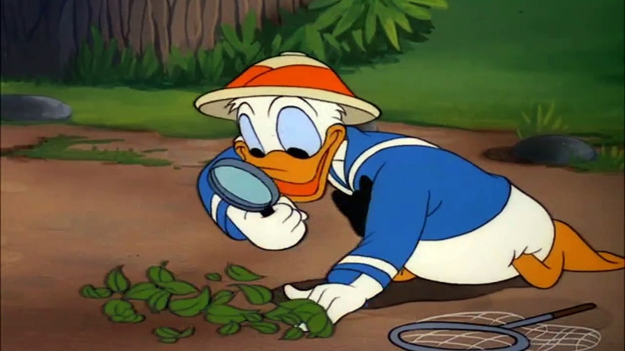 Donald Duck Cartoons 64 - Bootle Beetle (1947) | Adventure of bug collector Donald