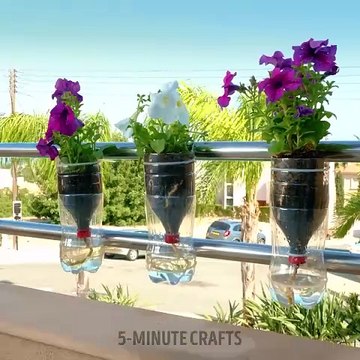 Gardening Hacks 101: Planting Techniques and Plastic Bottle Craft Ideas