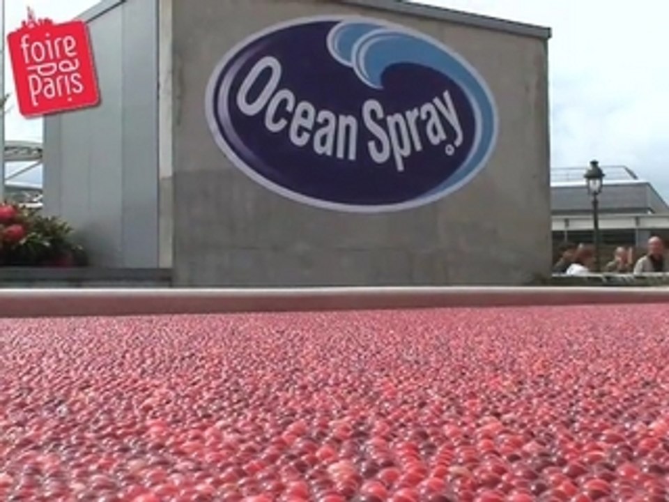 La récolte des Cranberries sur la Foire de Paris