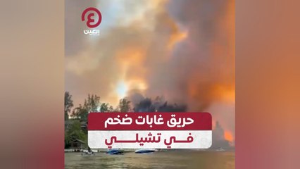 حريق غابات ضخم في تشيلي