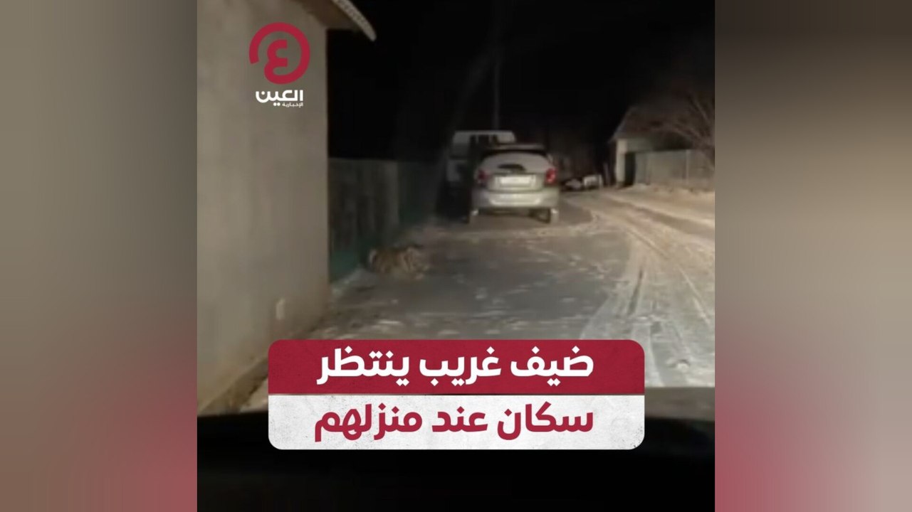 ضيف غريب ينتظر سكان عند منزلهم