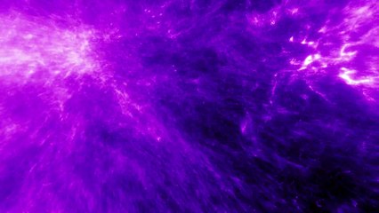 5453622-hd_1920_1080_24fps