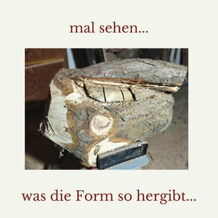 Making of Schale Scheinzypresse