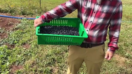 4 FÉV TOPO AD Lettre ouverte Bernard thériault champ de tir tracadie