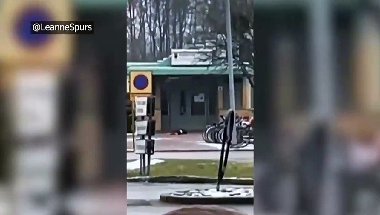 Al menos nueve muertos en un tiroteo en una escuela del centro de Suecia