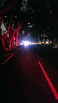 Árvore cai em Curitiba por causa das chuvas e bloqueia saída de ambulâncias