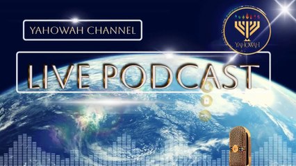 Qatsyr - Harvest Part Four 04 February 2025