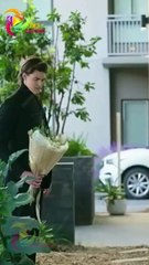 Hello Again, My Love ❤️ | Romantic Billionaire Short Film