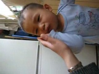 tit cousin Mathys