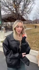 Your guide to winning him over. Results not guaranteed #dogs #dogcomedy