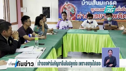 ชาวบ้านเดือดร้อนหนักกลิ่นกัญชาฟาร์มกัญชากลางหมู่บ้าน| เที่ยงทันข่าว |  5 ก.พ. 68