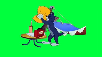 Cartoon Tom and Jerry fun experience
