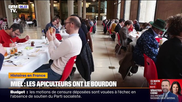 Miel de France: la profession en crise avec moins d'abeilles et d'apiculteurs