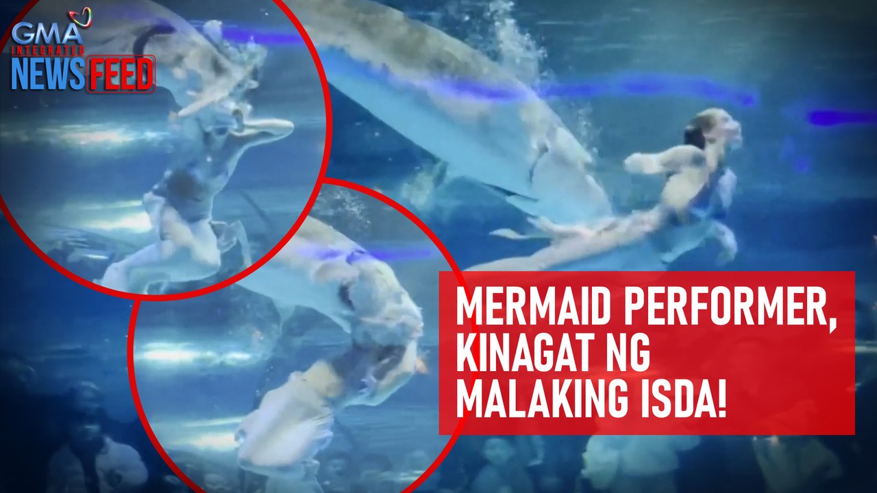 Mermaid performer, kinagat ng malaking isda! | GMA Integrated Newsfeed