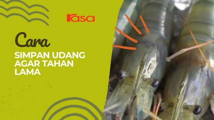 Cara Simpan Udang Agar Tahan Lama