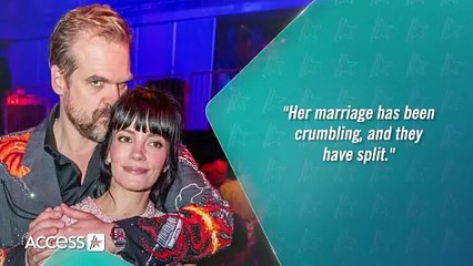 Did Lily Allen & David Harbour SPLIT_