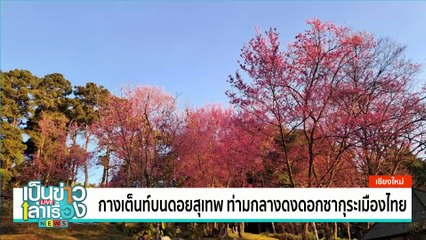 ขึ้นพระปรางค์กราบพระบรมสารีริกธาตุ | เป็นข่าวเล่าเรื่อง | 05 ก.พ. 68 | PART 2