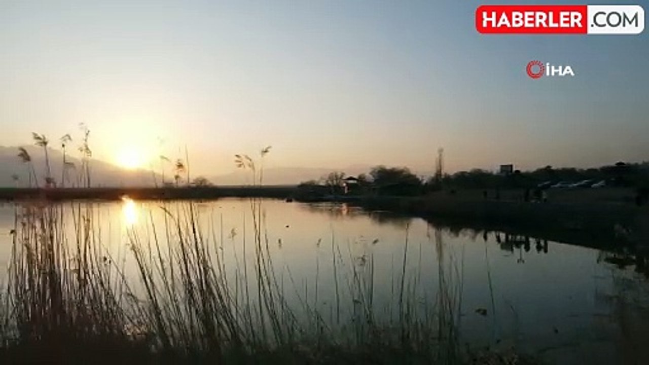 Ekşisu Mesire Alanı: Doğanın Görsel Şöleni ve Kuş Cenneti