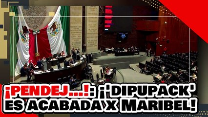 ¡ERES UNA PENDEJ…! ¡’DIPUPACK’ ACABADA por VALIENTE DIPUTADA de MORENA por ATACAR a la PRESIDENTA!