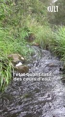 Explications du Comité Sécheresse avec l'Office de l'eau