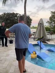 Surprising Encounter: Crocodile Spotted in Florida Pool 🐊