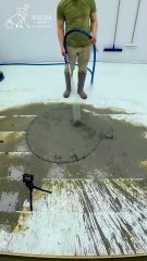 One Minute Miracle: Saves A Heavily Soiled Carpet - Satisfying ASMR #carpetcleaning #shorts