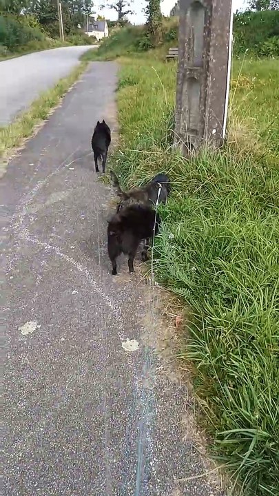 Voici ma nouvelle vidéo