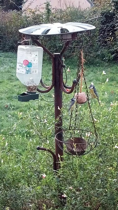 Voici ma nouvelle vidéo