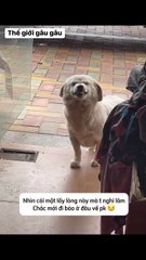 I doubt it very much 😒