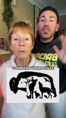 COMBIEN D’ANIMAUX VOYEZ-VOUS ? ( c’est compliqué )