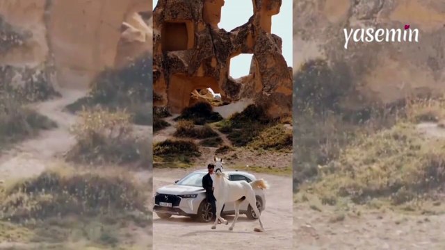 Figüran at bir hareketiyle rol çalarak başrol oldu! Başrollük ona aitmiş