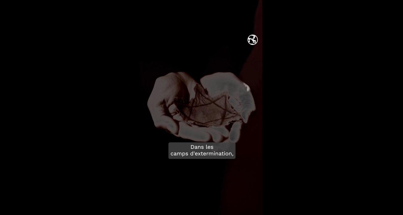 L’histoire oubliée des Noirs sous le régime nazi