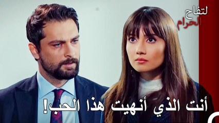 الندم الأخير لا ينفع يا سيد علي هان! - التفاح الحرام