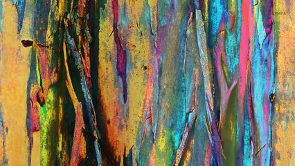 Les meilleurs moments où il vaut mieux s'en aller