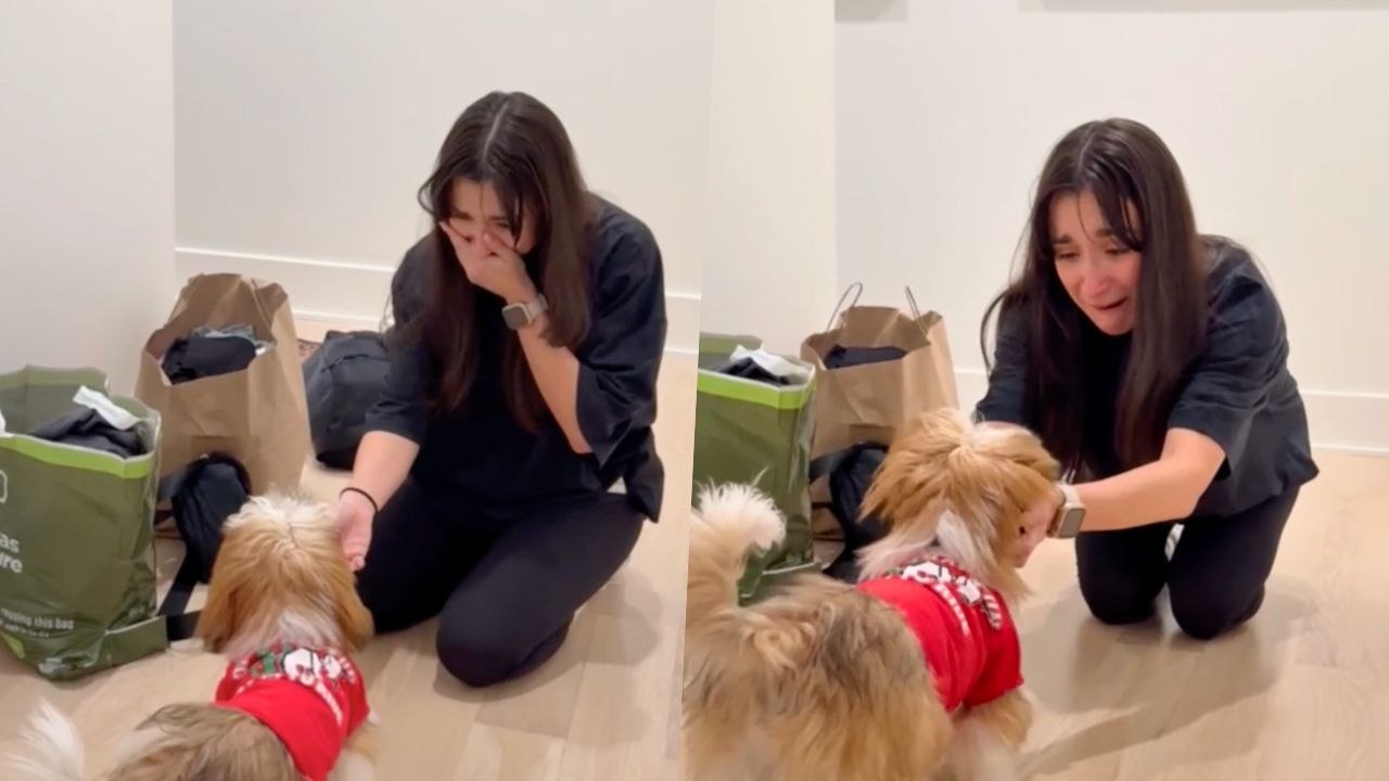 Hija Sorprendida Con Cachorro Tras La Muerte De Su Primera Perrita