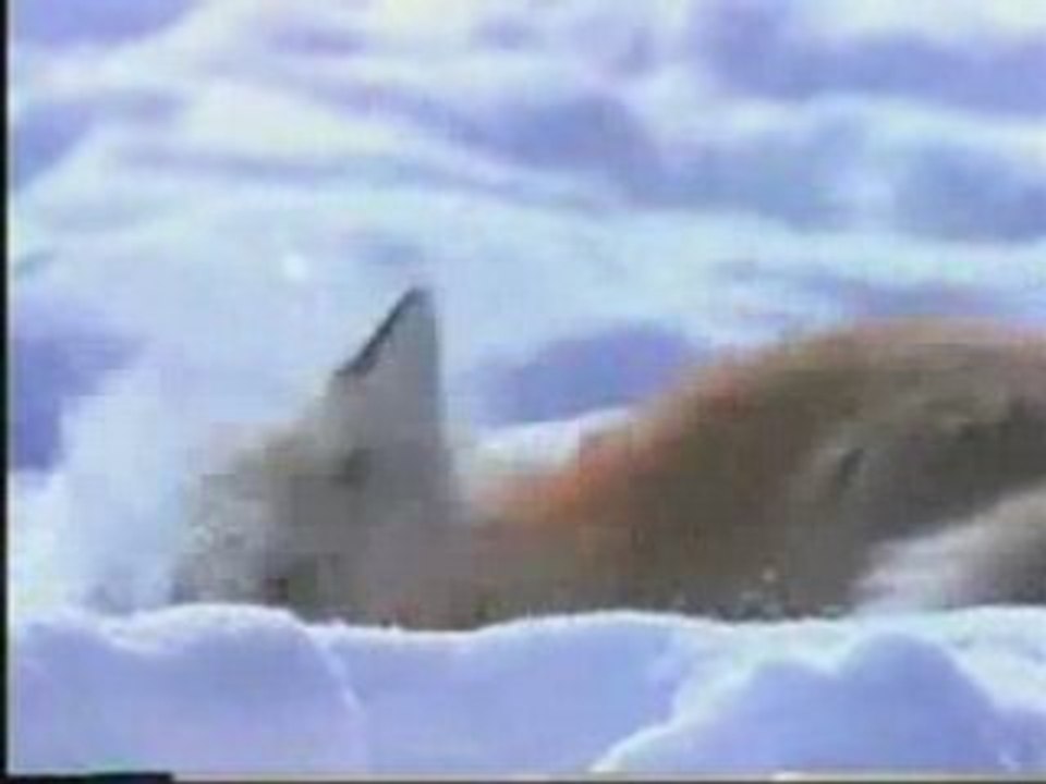 FOX is HUNTING – So Funny ... HeH