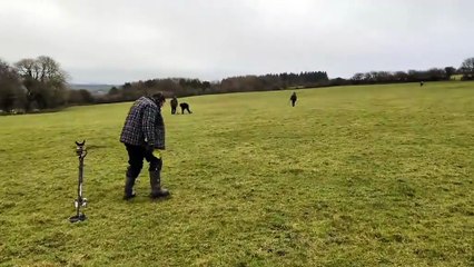 North Cornwall Metal Detecting Club on a dig