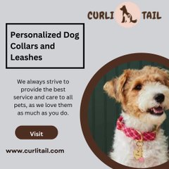 CurliTail: Find the Right Collar for Your Pet’s Safety