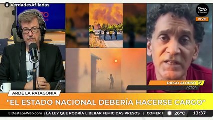 Diego Alonso sobre los incendios en la Patagonia