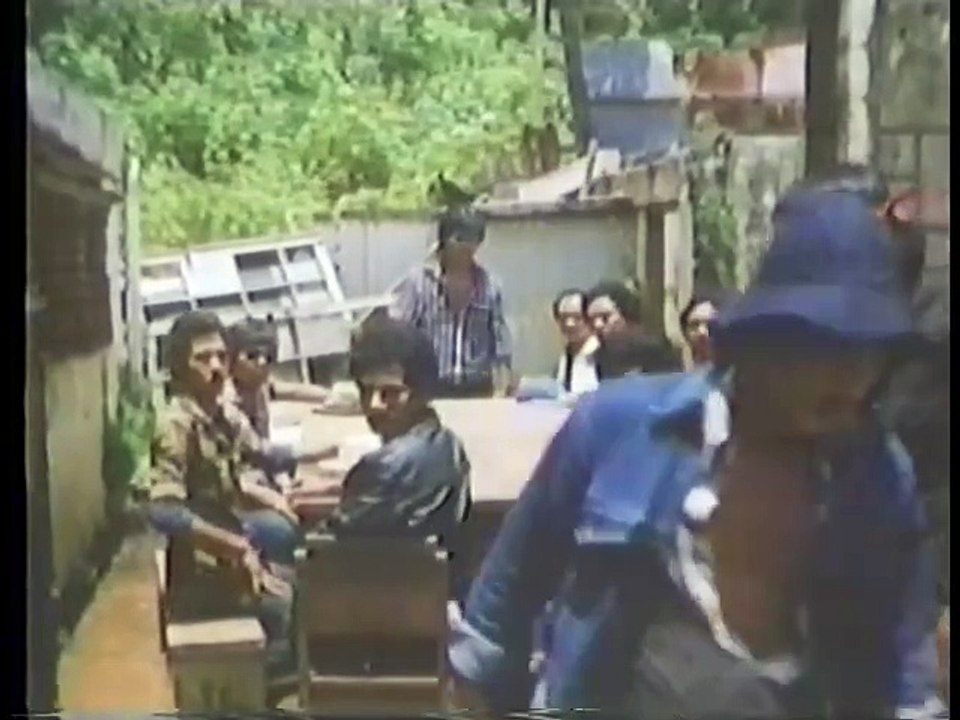 Fatal Command (1986)