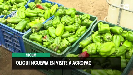 [#Reportage] Ntoum : Oligui Nguema en visite à Agropag