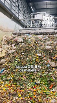 Que deviennent les déchets alimentaires qu’on met dans les nouveaux bacs de tri installés un peu partout en France ?