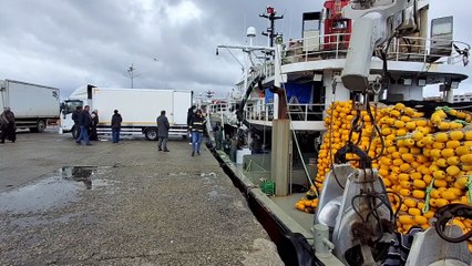 Balıkçıların zorlu mesaisi