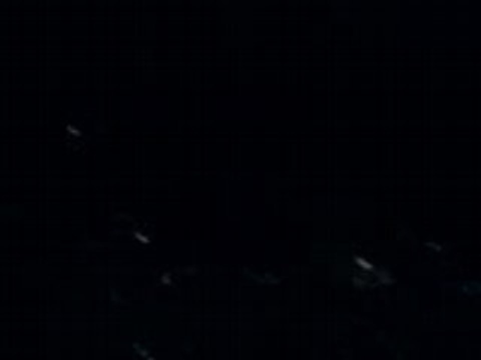 Tokio Hotel Le 10.03.08 a Bercy 0th3ntiik-th-x3.skyrock.com