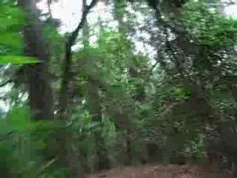 11.04.2008 clip 21