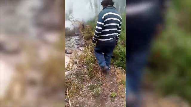 Los cinco incendios forestales activos en la Patagonia ya consumieron 24.494 hectáreas de bosques