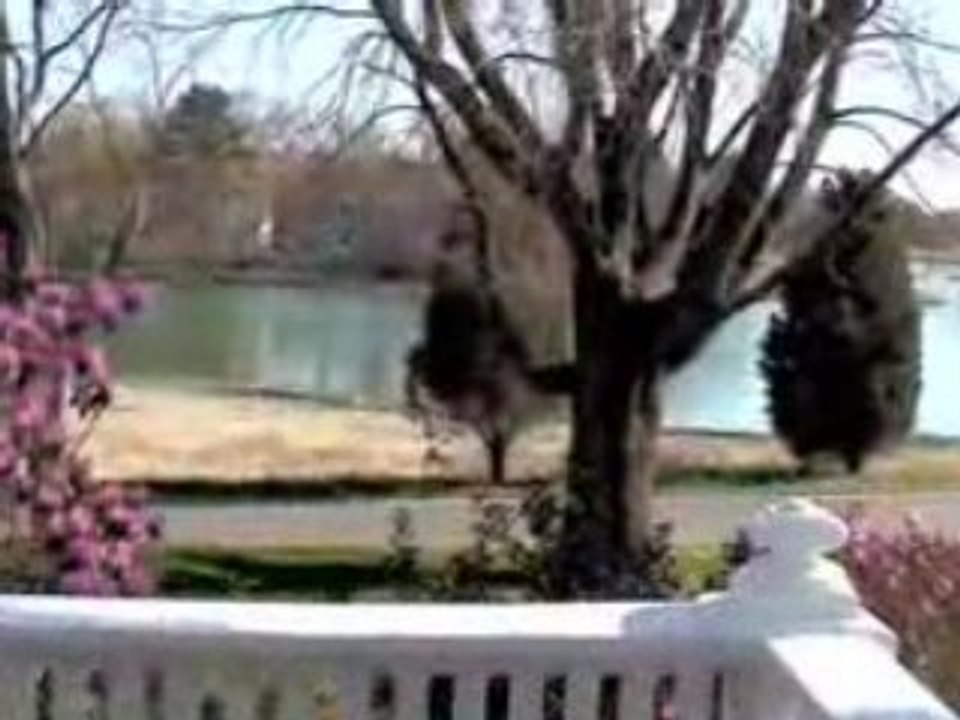 Duxbury, Massachusetts (MA) real estate-Jonathan Smith House